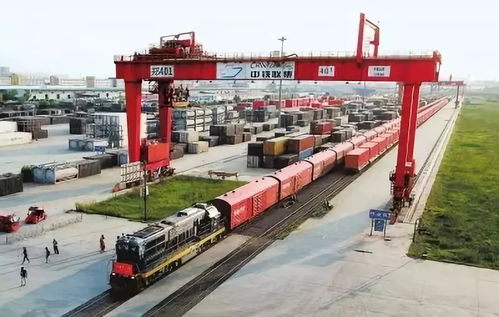 海關重拳出擊 拒絕“洋垃圾”，寧波海關退運超600噸禁入廢紙